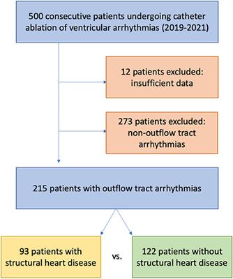 Ablation of Outflow Tract Arrhythmias in Patients With and Without Structural Heart Disease—A Comparative Analysis